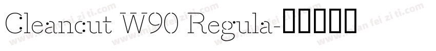 Cleancut W90 Regula字体转换